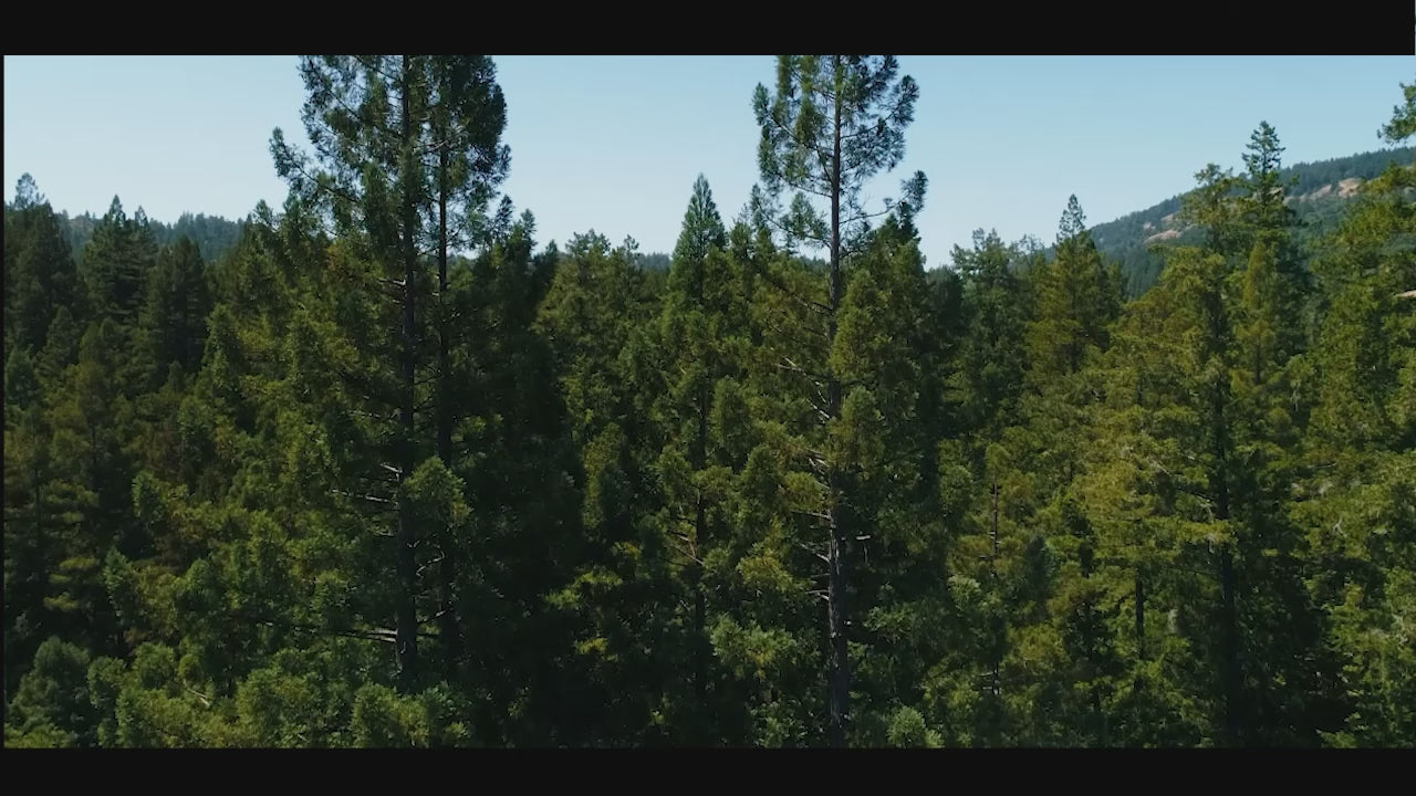 Cargar video: 